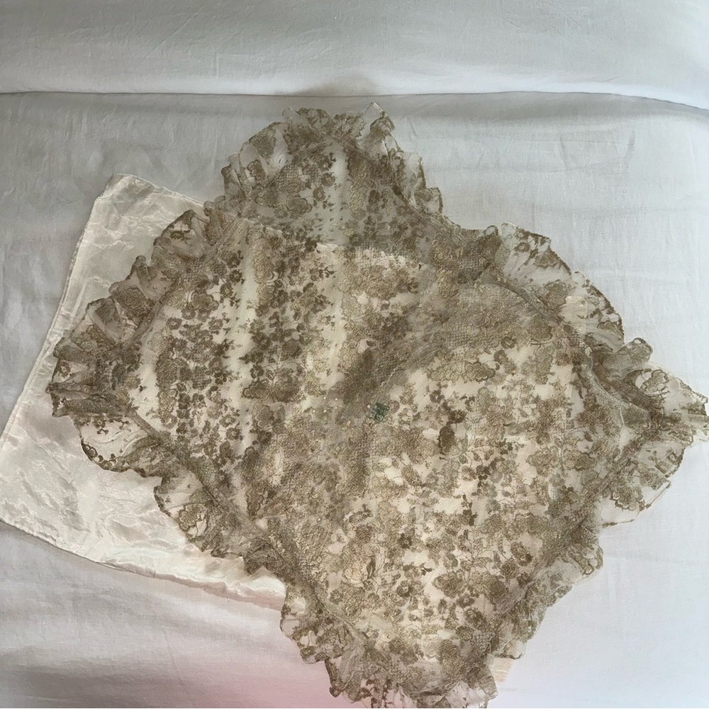 Sheer Lace-Detail Pillow Sham  in Taupe and Cream - Picture 2 of 4